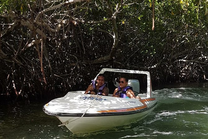 Mangrove and Lagoon Speed Boat Tour - Stop at a Remote Beach for Swimming and Snorkeling