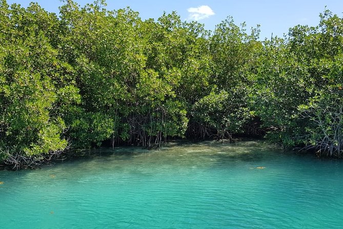 Mangrove and Lagoon Speed Boat Tour - Booking and Cancellation Policies