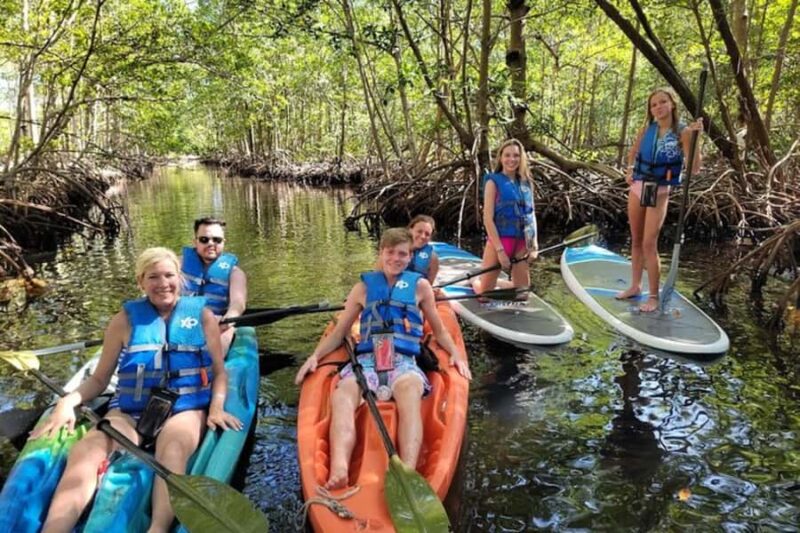 Mangrove Jungle exploration on SUP/Kayak - Key Points