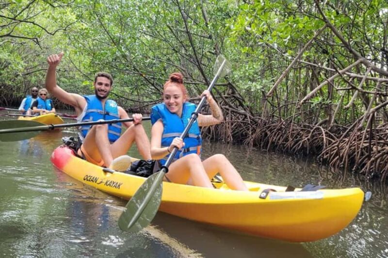 Mangrove Jungle exploration on SUP/Kayak - Departing from Bill Bird Marina in Florida