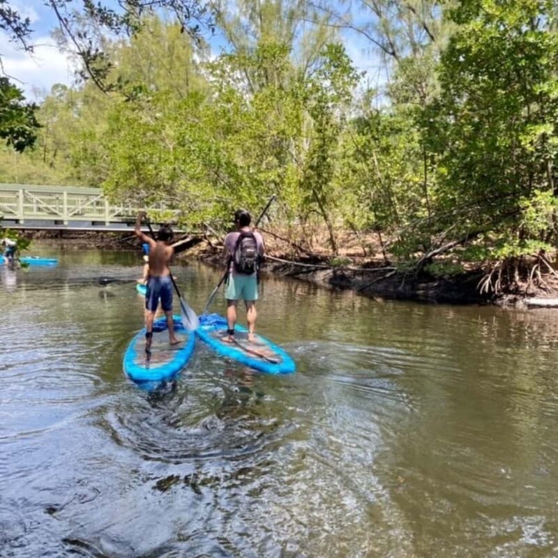 Mangrove Jungle exploration on SUP/Kayak - Refreshments and Island Relaxation