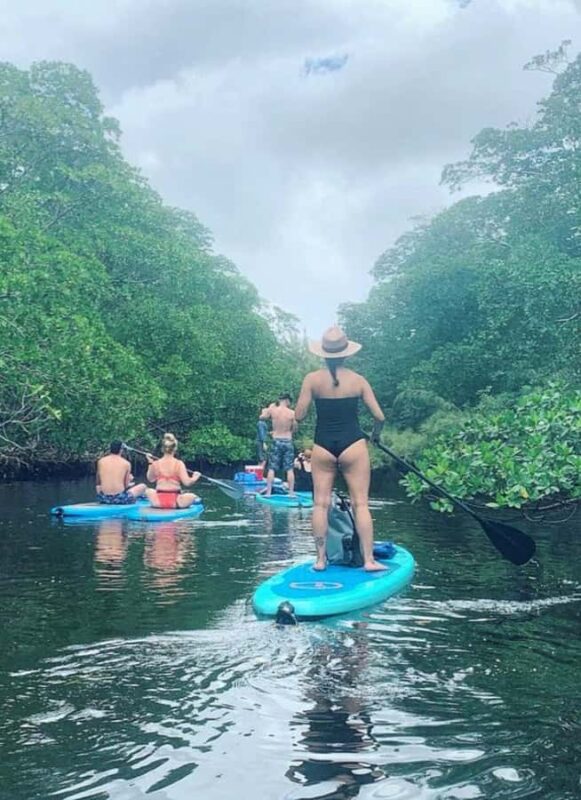 Mangrove Jungle exploration on SUP/Kayak - Practicalities: Equipment, Safety, and What to Bring