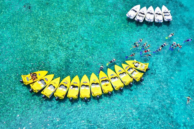 Mangrove Jungle Speedboat Experience - Additional Costs and Optional Transfers