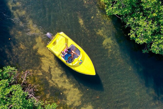 Mangrove Jungle Speedboat Experience - Safety, Guides, and Booking Flexibility