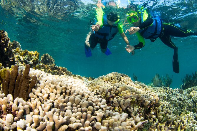 Mangrove Jungle Speedboat Experience - Who Will Enjoy This Speedboat Adventure