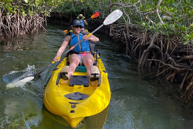 Mangrove Tunnel Kayak Adventure in Key Largo - The Snorkeling Option and Marine Scenic Views