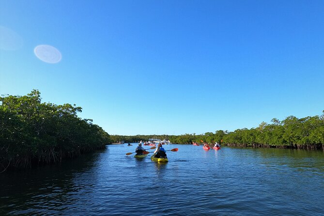 Mangrove Tunnel Kayak Adventure in Key Largo - Cancellation Policy and Weather Considerations