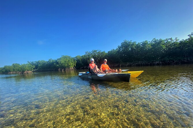 Mangrove Tunnel Kayak Adventure in Key Largo - Final Thoughts on the Mangrove Tunnel Kayak Adventure