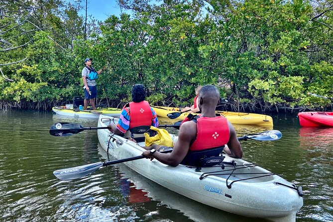 Mangrove Tunnel Kayak Eco Tour - Navigating the Mangrove Tunnels and Wildlife Encounters