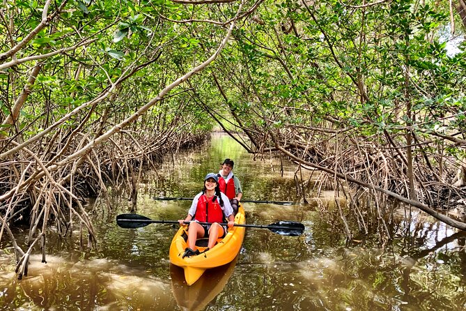 Mangrove Tunnel Kayak Eco Tour - Physical Requirements and Accessibility