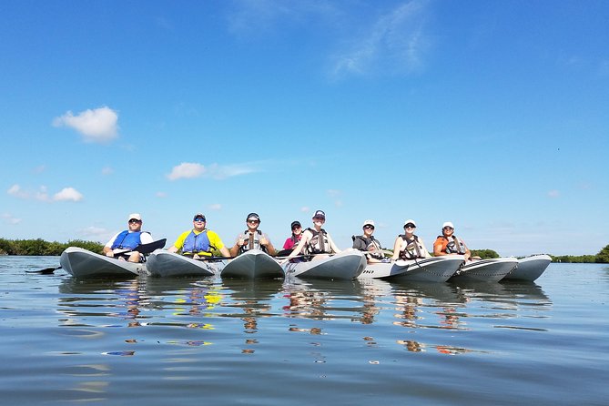 Mangrove Tunnels, Dolphins, Manatee Tour #1 Rated in Cocoa Beach - What to Expect During Your 2-Hour Kayak Adventure