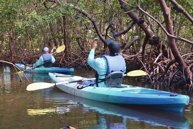 Mangrove Tunnels Kayak Tour (Photographer Included)- Marco Island - Exploring the Marco Island and Naples Area