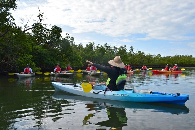 Mangrove Tunnels Kayak Tour (Photographer Included)- Marco Island - Kayaking Options and Accessibility