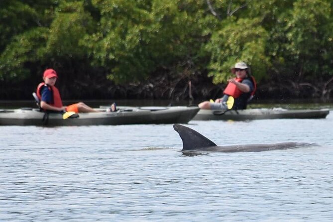 Mangrove Tunnels Kayak Tour (Photographer Included)- Marco Island - The Guide’s Role and Photo Service
