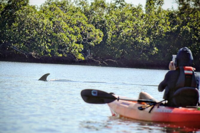 Mangrove Tunnels Kayak Tour (Photographer Included)- Marco Island - Practical Considerations and Packing Tips