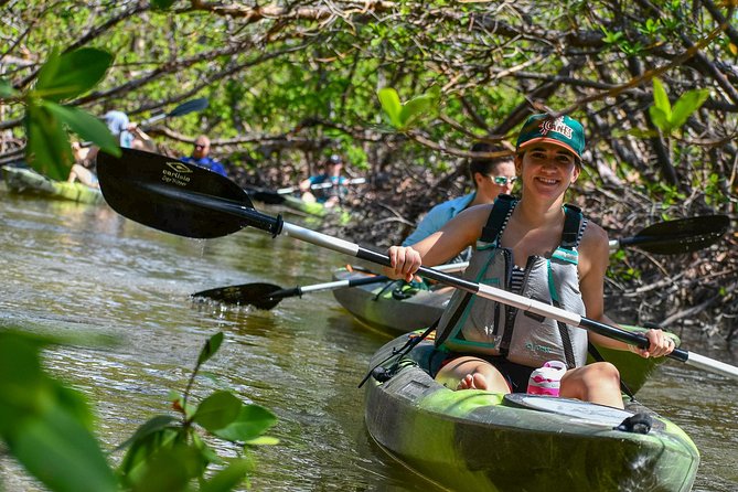 Mangrove Tunnels & Mudflats Kayak Tour - Local Biologist Guides - Exploring Rookery Bay’s Ecosystem: The Mangrove Tunnels