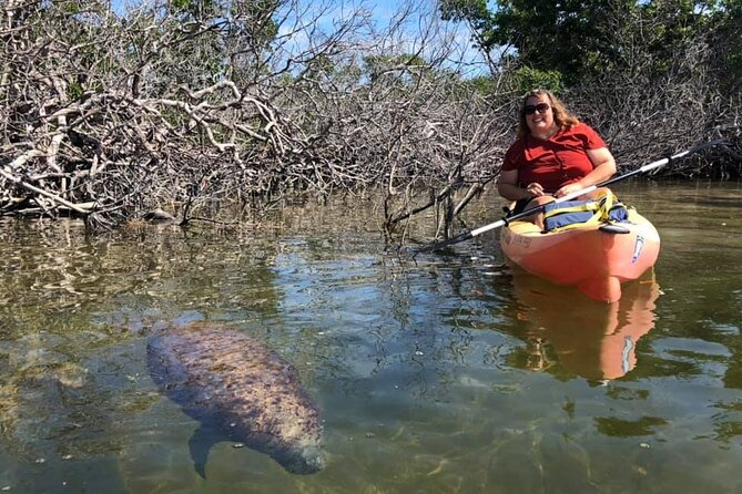 Mangroves and Manatees - Guided Kayak Eco Tour - The Role of Guides and Their Expertise