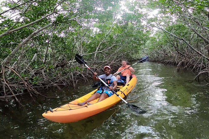 Mangroves and Manatees - Guided Kayak Eco Tour - Physical Requirements and Accessibility