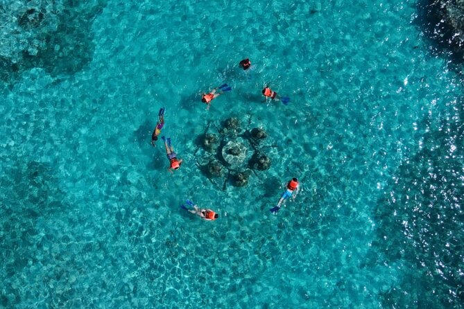 Mangroves and Punta Nizuc Snorkel Adventure by Speedboat - Transition to Open Sea and the Snorkel Stop at Nizuc Reef