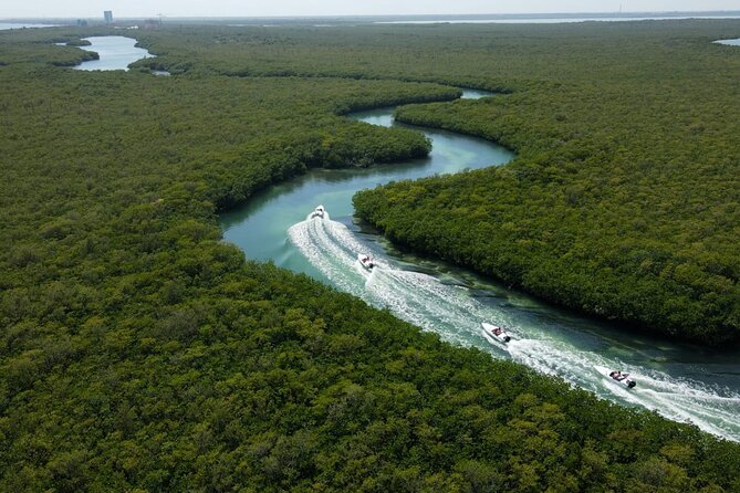 Mangroves and Punta Nizuc Snorkel Adventure by Speedboat - What’s Included and What You Need to Know