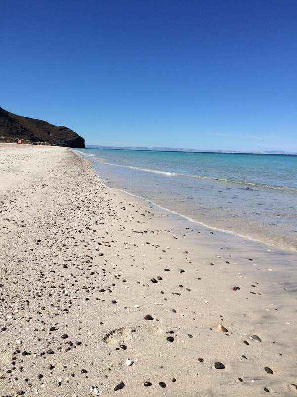 Mangroves & Beaches: Hiking Tour of Balandra, La Paz - Discover the Unique Beauty of Balandra and Tecolote Beaches