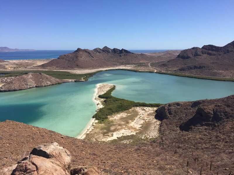 Mangroves & Beaches: Hiking Tour of Balandra, La Paz - Nature Interpretation Along the Coastal Ecosystems