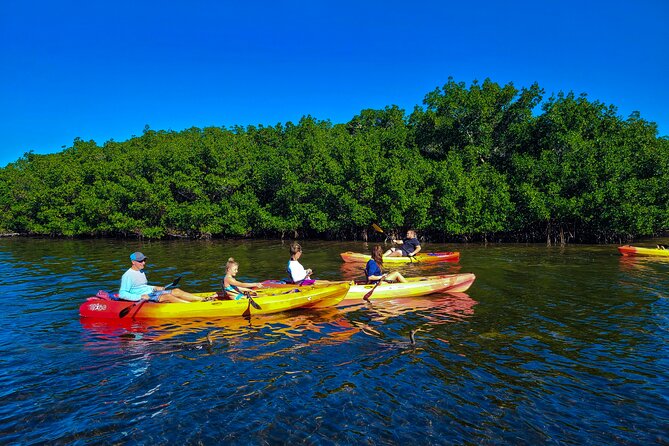 Mangroves, Manatees, and a Hidden Beach: Kayak Tour - The Hidden Beach: Beachcombing and Shell Collecting