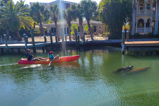 Mangroves, Manatees, and a Hidden Beach: Kayak Tour - Group Size, Accessibility, and Weather Considerations