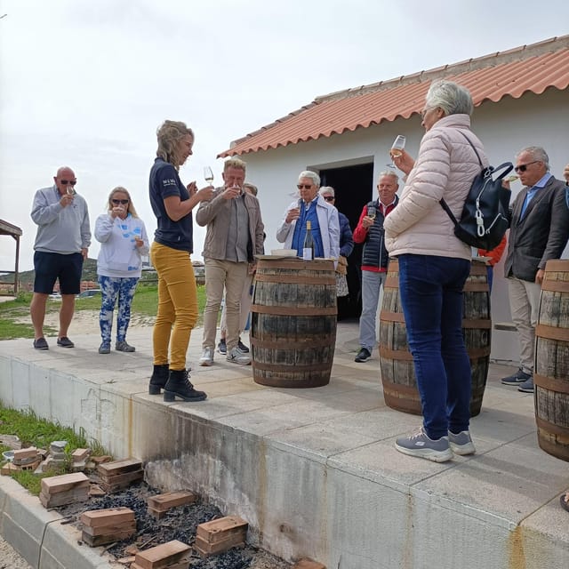 Manilva: Nilva Vineyard, Wine Tasting & Tapas Guided Tour - Visiting the Vineyard: Views and Volumes