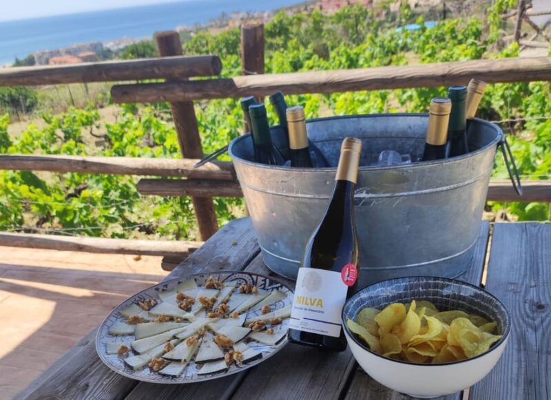 Manilva: Nilva Vineyard, Wine Tasting & Tapas Guided Tour - The Taste of Nilva Wines and Local Tapas