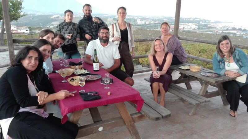 Manilva: Nilva Vineyard, Wine Tasting & Tapas Guided Tour - The Expertise and Personality of the Guides