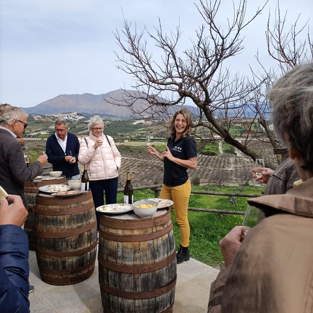 Manilva: Nilva Vineyard, Wine Tasting & Tapas Guided Tour - Booking and Cancellation Policies