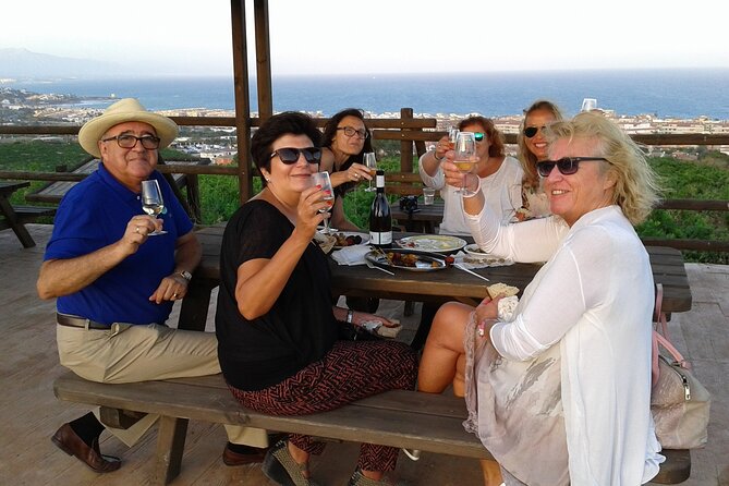 Manilva Oceanfront Wine Experience in the Marbella Area - Key Points