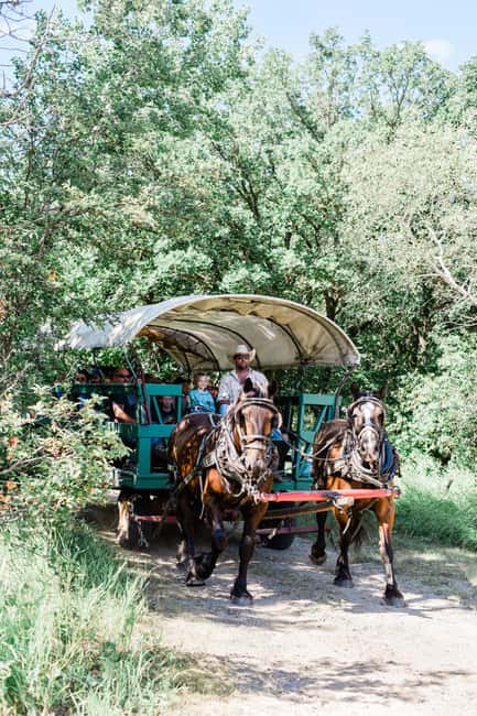 Manitoba: Horse-Drawn Wagon Ride in Spruce Woods Park - The Guided Experience with Local Experts