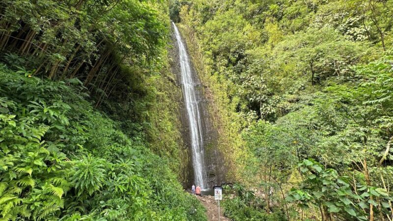 Manoa Falls eBike to Hike - Discover the Manoa Falls eBike to Hike Tour in Hawaii