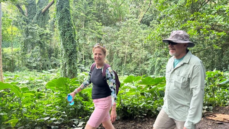 Manoa Falls eBike to Hike - Enjoying a Traditional Hawaiian Lunch with Views