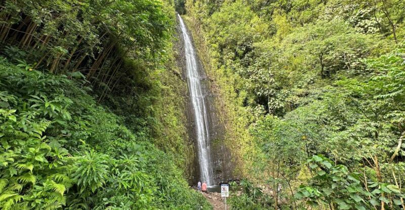 Manoa Falls eBike to Hike - Practical Details and Considerations