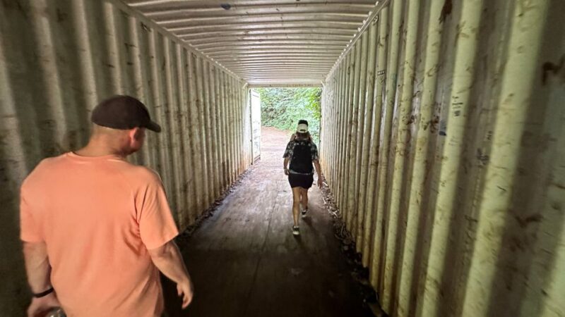 Manoa Falls eBike to Hike - Accessibility and Suitability