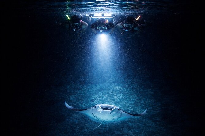 Manta Ray Night Snorkel Adventure in Kailua-Kona - Discover the Unique Night Snorkel with Manta Rays in Kailua-Kona