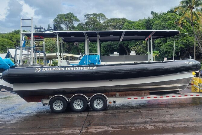 Manta Ray Night Snorkel at Kona, Big Island - Meeting Point and Check-In Process at Kailua-Kona