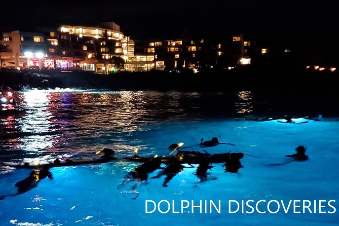 Manta Ray Night Snorkel at Kona, Big Island - Equipment Provided and What to Bring