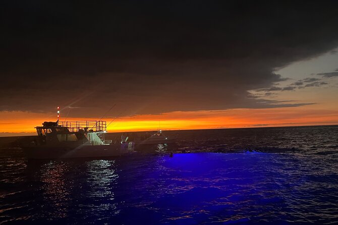 Manta Ray Night Snorkel in Kona - Guides and Crew Expertise