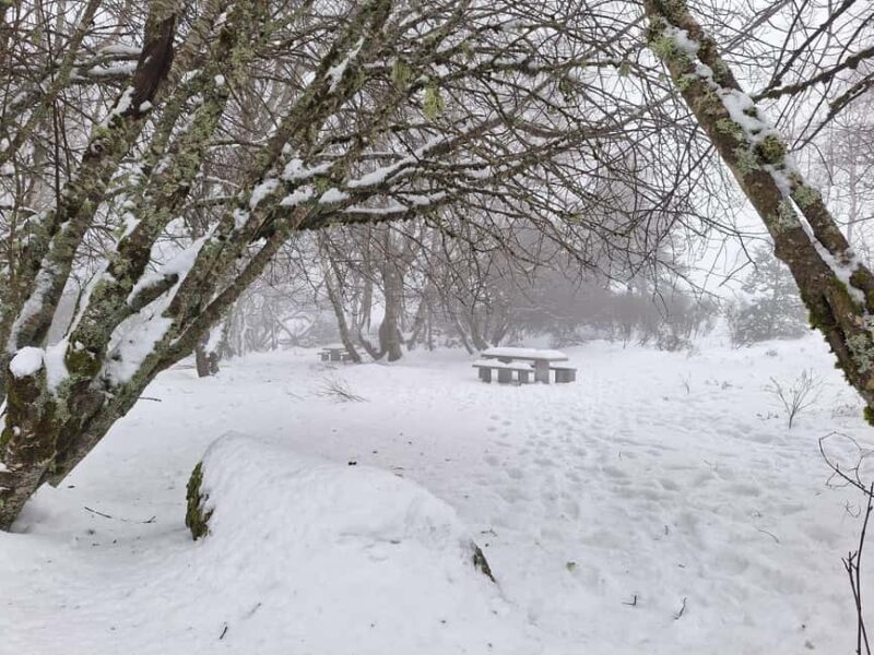 Manteigas: 2-Hour Customizable 4x4 Jeep Tour in Serra da Estrela - Discover the 2-Hour Customizable 4x4 Jeep Tour in Serra da Estrela