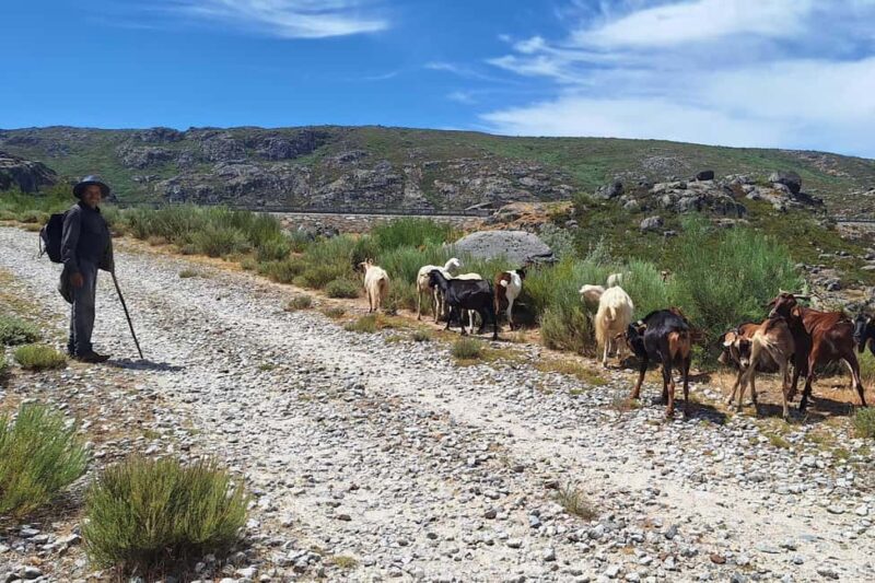 Manteigas: 2-Hour Customizable 4x4 Jeep Tour in Serra da Estrela - Who Will Appreciate This Experience Most