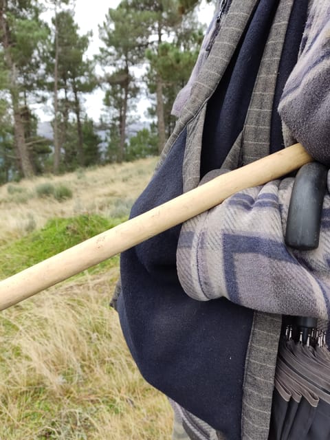 Manteigas: Serra da Estrela Shepherd Path Hike with Shepherd - Inclusion of Small Meal and Regional Flavors