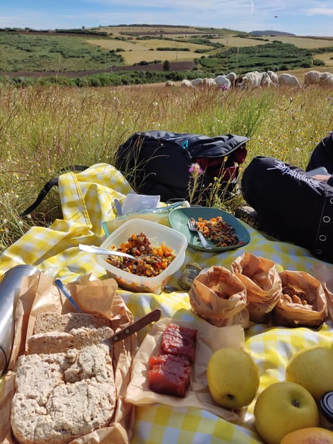 Manteigas: Serra da Estrela Shepherd Path Hike with Shepherd - The Importance of Supporting Local Communities