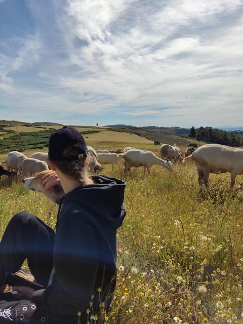 Manteigas: Serra da Estrela Shepherd Path Hike with Shepherd - Final Thoughts on the Shepherd Path Hike Experience