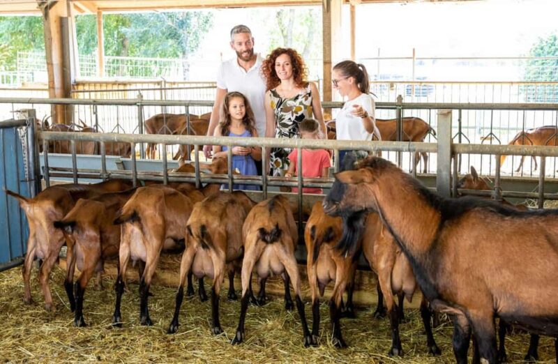 Mantello: Farm Tour with Cheese Making Workshop - Discover Traditional Cheese Making at Mantello’s Farm Tour