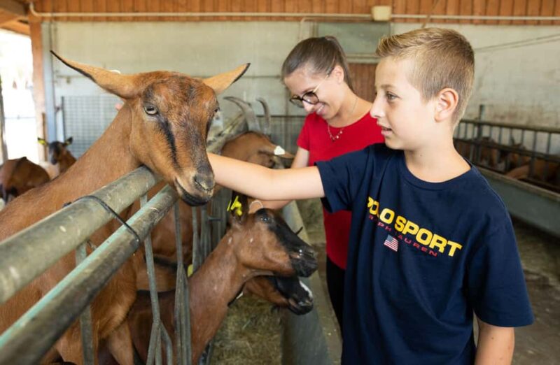 Mantello: Farm Tour with Cheese Making Workshop - What Sets This Tour Apart from Others