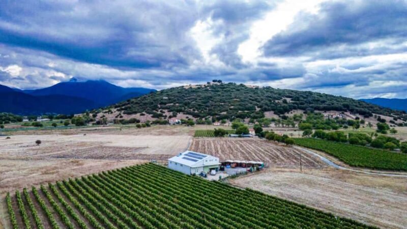 Mantinia: Caves, Wine Tasting & LunchTour - Explore the Caves of Kapsia and Their Natural Wonders